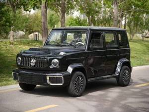 Veicolo Elettrico 2026 DG 5 Posti Guida a Sinistra, Basso Consumo Energetico, Trazione Anteriore, Veicolo Domestico a Quattro Ruote - Product Image 5