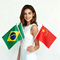 Mâts de drapeaux en plastique en gros, drapeaux numériques imprimés personnalisés à agiter à la main, petits drapeaux de couleur unie