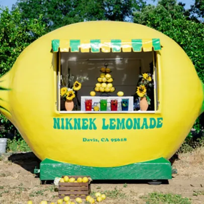 Best Selling Boba Beverage Ball Shape Outdoor Street Food Apple Green Coconut Kiosk Lemon-shaped Juice Bar