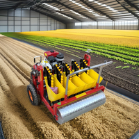 La Chine fournit une nouvelle machine de plantation d'ail à la main 1 rangée et 2 rangées de semoir manuel pour l'agriculture et la ferme pour la plantation et l'ensemencement