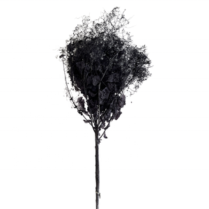 Offre Spéciale Conservé Fleur Éternelle Fumée Brousse Pour Arrangement de fleurs Fleur Éternelle - Product Image 2