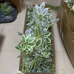 LE-417 85cm Branche artificielle de Schefflera à feuilles variées effet parapluie, tige de verdure pour remplissage vert DIY - Product Image 6