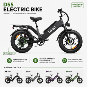 Bicicleta Eléctrica de 750W, 48V 55Ah, Alcance de 240km, Neumáticos Gruesos 20x4.0, Doble Suspensión, Resistente al Agua, Bicicleta Eléctrica de Reparto - Product Image 1