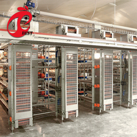 Cage à poulets entièrement automatique avec système automatique de collecte des œufs