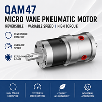 Moteur pneumatique à micro-vanne QAM47, couple élevé, faible vitesse, réversible, vitesse variable, antidéflagrant pour l'automatisation industrielle