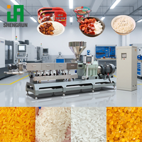 Ligne de production de riz nutritif synthétique à double extrudeuse, ligne d'assemblage de riz fortifié pour enfants aux fruits et légumes colorés
