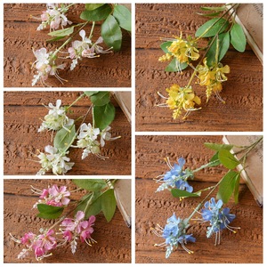 Flor de Araña Artificial Estilo INS, Tallo Artificial de <span class=keywords><strong>Cleome</strong></span> Hassleriana para Decoración Boho de Hogar y Bodas - Product Image 5