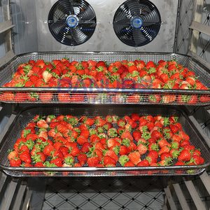 Energy Saving Fruit Drying Room Strawberry Drying Oven Room Strawberry Dehydrator Machine Heated Drying Room - Product Image 2