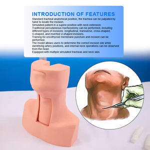 Mannequin d'entraînement avancé ADA-J58 en PVC pour la trachéotomie et l'intubation, modèle de formation pour infirmières en sciences médicales, Shanghai - Product Image 3