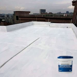 Revêtement imperméable personnalisé haute performance pour toiture, matériaux liquides acryliques personnalisés pour application au pinceau - Product Image 5