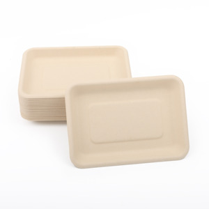 Biodegradable Disposable Ecofriendly Take Out Pastry Cake Lunch Sushi Tray To Go Box Takeaway Packaging Food Containers
