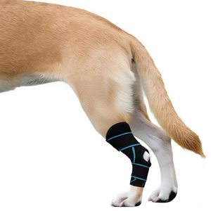 Rodillera Antideslizante para Perros, Soporte Protector para Articulaciones, Envoltura para Patas <span class=keywords><strong>de</strong></span> Perro, Almohadillas para Rodillas para Lesiones y Luxaciones Rotulares - Product Image 1