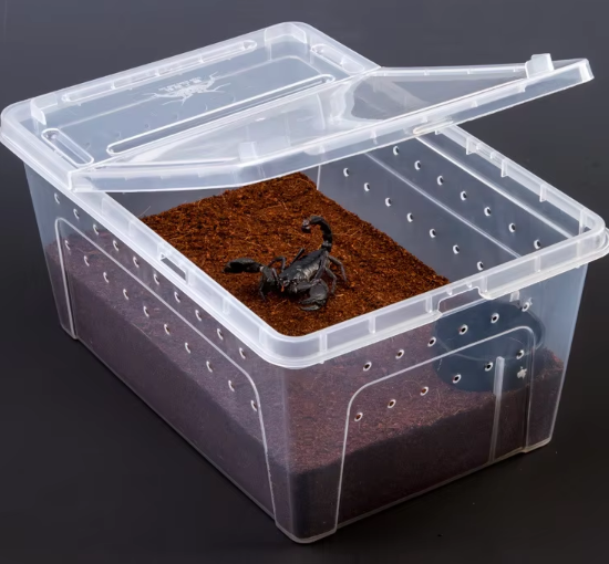 Caja mediana para reptiles (incluye comedero redondo transparente)