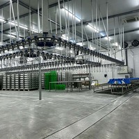 Ligne de traitement de volailles en acier inoxydable de qualité alimentaire, équipement entièrement automatique pour l'abattage de poulets, canards et oies