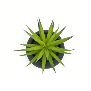 Plante succulente verte artificielle avec pot en papier mâché noir, <span class=keywords><strong>herbe</strong></span> de sabre verte artificielle en pot pour la décoration de la maison - Product Image 5