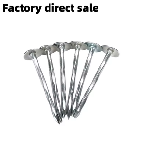 Clous de toiture ondulés galvanisés de haute qualité au prix <span class=keywords><strong>d</strong></span>'usine pour la construction 2,5 pouces * Bwg 9 - Product Image 2