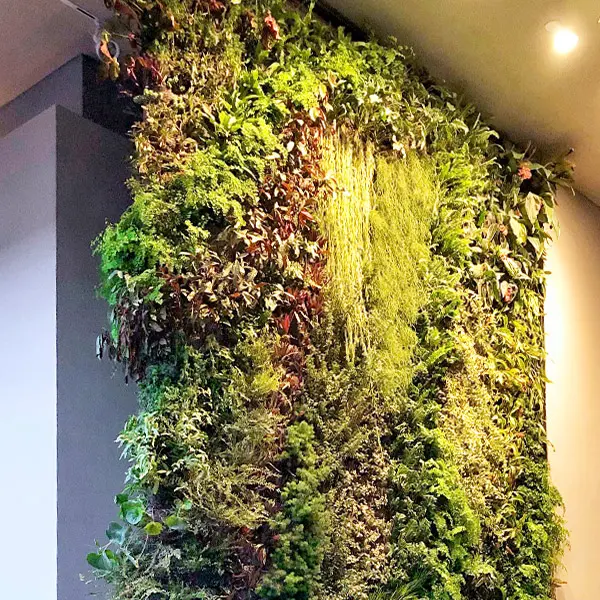 Plant Wall Decor Ideas