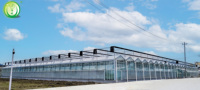Serre agricole/commerciale, serre Venlo, serre en verre, serres agricoles en polycarbonate à vendre