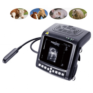 Desain pergelangan tangan genggam KX5200 Vet instrumen Ultrasound medis pemindai suara <span class=keywords><strong>Ultra</strong></span> untuk hewan kecil besar - Product Image 1