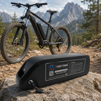 Batterie de vélo électrique Hailong, batterie au lithium amovible, sortie USB, verrouillage sécurisé par clé, chargeur
