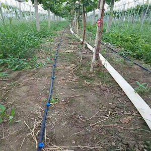 Free Design Cocoa Tree <strong>Irrigation</strong> Kit Center Pivot <strong>Irrigation</strong> System 1000m <strong>Drip</strong> <strong>Irrigation</strong> Kit for Garden - Product Image 3