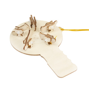 Kit Educativo STEM in Legno Wincent con Esperimenti Pratici e Puzzle per Età 5+ Difficoltà 3 Stelle - Product Image 2