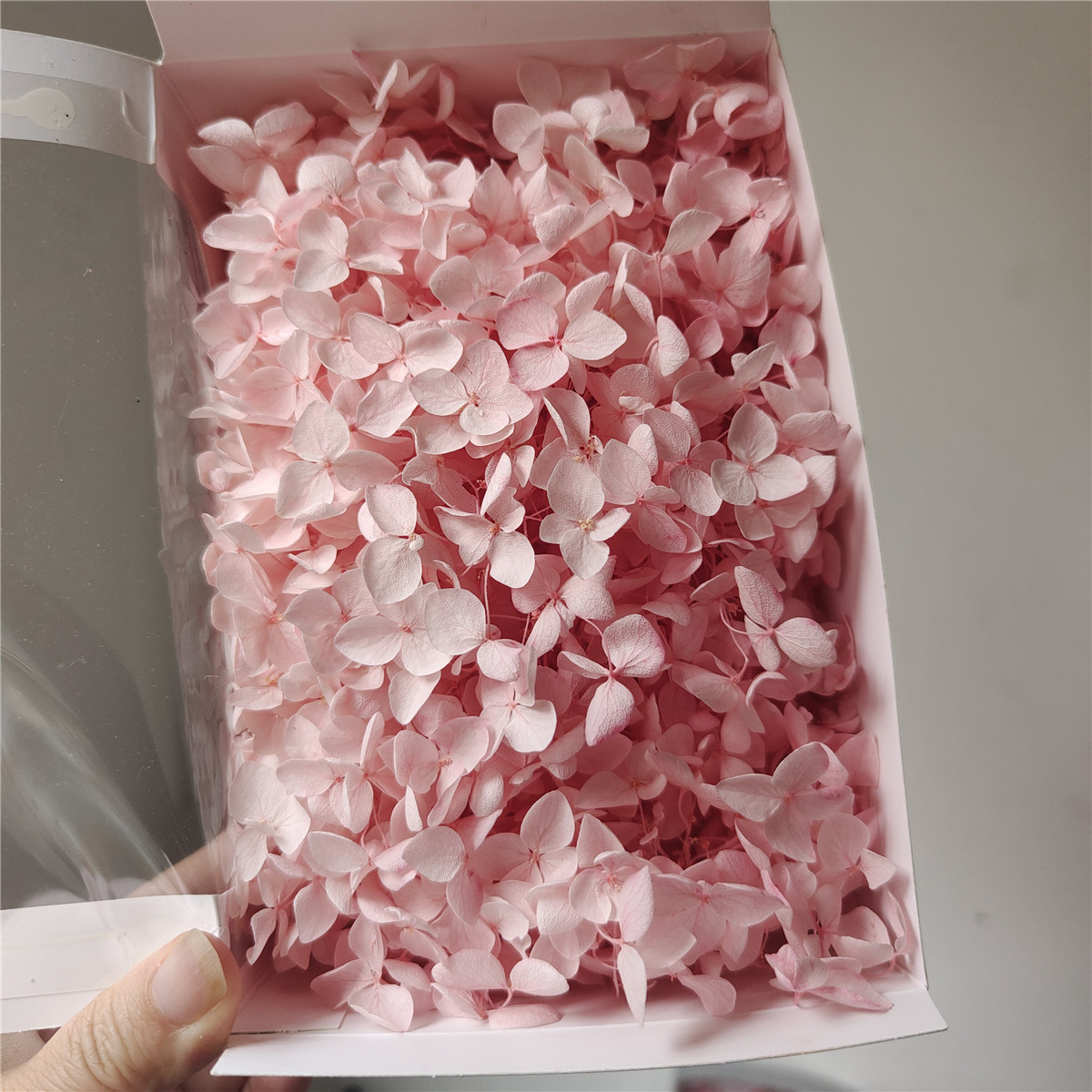 Rose cerise clair