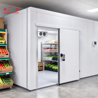 Produsen Pintu Cold Room China, Pintu Berinsulasi Pendingin