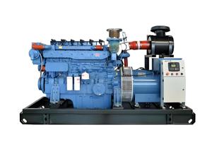 CUMMINS 100kw 200kw 300kw 400kw <span class=keywords><strong>500kw</strong></span> Biogás/Natural/ LPG Biomasa Generador de energía Metano Hidrógeno Gas Turbina Generadores - Product Image 5