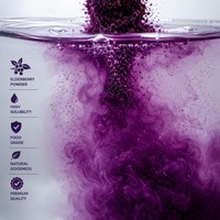 Poudre d'extrait naturel de sureau 15% 25% Anthocyanes Qualité alimentaire Certifié HPLC