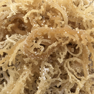 Musgo de mar seco natural al por mayor producto crudo del océano de Vietnam para el condimento de la comida uso culinario e industrial - Product Image 1