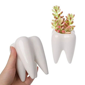 Venta al por mayor forma <span class=keywords><strong>de</strong></span> <span class=keywords><strong>diente</strong></span> <span class=keywords><strong>maceta</strong></span> <span class=keywords><strong>de</strong></span> cerámica Dest organizador decoración popular <span class=keywords><strong>maceta</strong></span> - Product Image 5