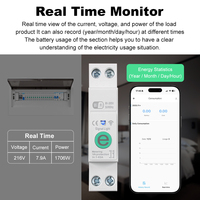 Compteur d'énergie intelligent monophasé Ewelink WIFI avec protection contre les surtensions/surintensités, mesure du KWh, surveillance, disjoncteur, relais temporisé 63A