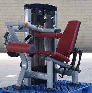 Nouvel Arrivage Appareil 2-en-1 d'extension et de flexion des jambes, Équipement de musculation commercial, Vente en gros usine, À charges guidées, Couleur personnalisée OEM, CE - Product Image 2