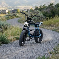Bicicleta Eléctrica de Largo Alcance con Llantas Anchas y Portaequipajes, Certificación CE, Todoterreno, para Viajes de Fin de Semana al Aire Libre