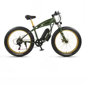 2020 Cheap Fat Tire Mountain E Bike Electric Bicycle Rear Engine E MTB Snow Bicycle Electric Motorcycle
