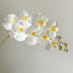 Fleurs artificielles Phalaenopsis au toucher réel, <span class=keywords><strong>prix</strong></span> direct, <span class=keywords><strong>orchidée</strong></span> <span class=keywords><strong>papillon</strong></span> artificielle pour mariage - Product Image 5