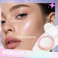 Palette de fards à joues scintillants professionnels, imperméables, longue tenue, haute pigmentation, marque privée, maquillage, grossiste en gros