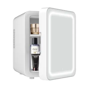 Personalizado portátil beleza skincare porta dupla 110V/220V pequeno frigorífico mini frigorífico Para Maquiagem Nova Casa