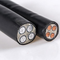 Venta Directa de Fábrica, Cable de Alimentación Blindado YJV22 0.6/1kV 450+125mm², 10~400mm² Opcional, Estándar IEC, para Subestaciones