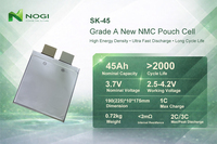 Sel Baterai Li Polymer SK 3.7V 60Ah Ncm Pouch Cell Densitas Energi Tinggi 1500 Siklus untuk Kendaraan Listrik, Sepeda Listrik, Skuter, dan Drone