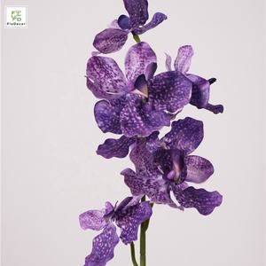 Fleur hydratante haut de gamme 7 têtes Real Touch papillon <span class=keywords><strong>Vanda</strong></span> orchidée fleurs pour salon mariage décoration extérieure - Product Image 6