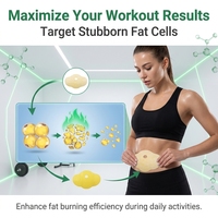 Patch Minceur Abdominal Naturel aux Herbes pour Brûler les Graisses – Patch Ventre Plat et Perte de Poids
