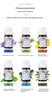 6 pièces * 10ml humidificateur d'aromathérapie soluble dans l'eau plante aromatique naturelle fruits Orange diffuseur huile essentielle coffret cadeau
