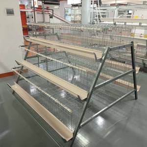 Système de <span class=keywords><strong>cage</strong></span> à poules pondeuses de type batterie pour 1000 oiseaux, équipement d'élevage de poulets galvanisé, vente chaude - Product Image 3