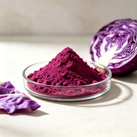 Colorant alimentaire naturel E163, extrait de chou rouge en poudre, pour la coloration des aliments et des boissons