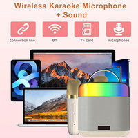 Lecteur de musique karaoké sans fil professionnel, microphone portable, haut-parleur, 2 micros sans fil, 5.3 pour éclairage LED RVB, batterie