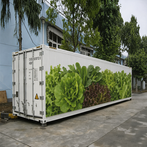 <span class=keywords><strong>Granja</strong></span> en Contenedor de Envío de Grado Comercial Skyplant, Construida con Sistema de Cultivo Hidropónico Vertical Multicapa - Product Image 1