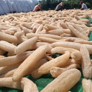 Esponjas de lufa tailandesas naturales ecológicas de primera calidad, producto agrícola no tóxico suave, precios al por mayor inmejorables para compradores - Product Image 4