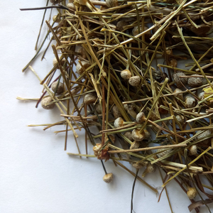 Gu jing cao nuovo essiccato Pipewort naturale Eriocaulon buergererianum globo di infiorescenza fiori per erbe - Product Image 3